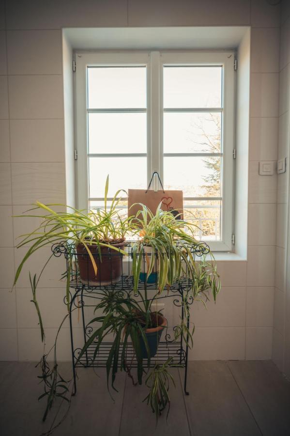 Bastide Du Bau Reddoun, Chambres D'Hotes, Maison D'Artiste En Provence 卡连 外观 照片